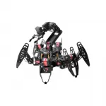 Spider-like Robot