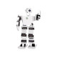 Raspberry Pi Humanoid Advanced AI-Powered Educational Robot